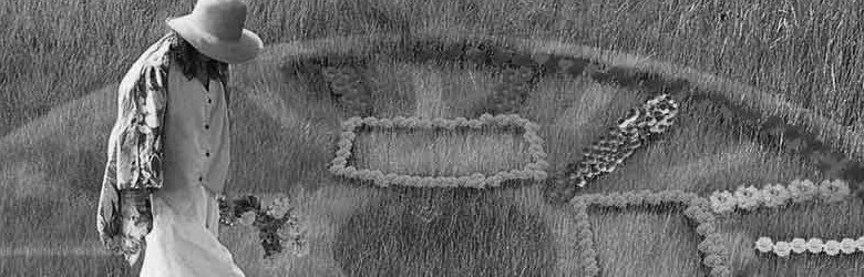 effiziente FEM Feldberechnung